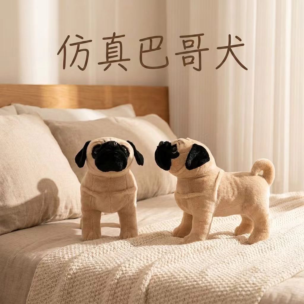 汕尾公仔